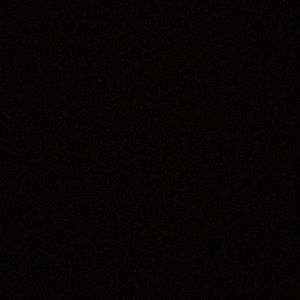 Meet your Posher, Bailey